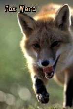 Watch Fox Wars Moviesjoy