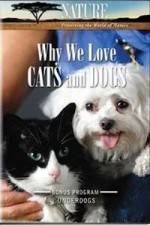 Watch Why We Love Cats And Dogs Moviesjoy
