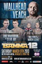 Watch BAMMA 12: Wallhead vs Veach Moviesjoy