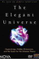 Watch The Elegant Universe Moviesjoy