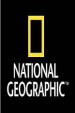 Watch National Geographic Wild War Elephants Moviesjoy