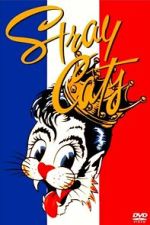 Watch Stray Cats Rock Paris Moviesjoy