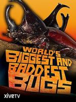 Watch World\'s Biggest and Baddest Bugs Moviesjoy