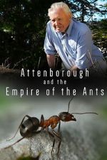Watch Attenborough and the Empire of the Ants Moviesjoy