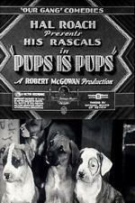 Watch Pups Is Pups Moviesjoy