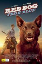 Watch Red Dog True Blue Moviesjoy
