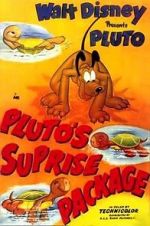 Watch Pluto\'s Surprise Package Moviesjoy