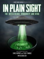 Watch In Plain Sight: The Intelligence Community and UFOs Moviesjoy