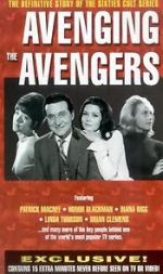 Watch Avenging the Avengers Moviesjoy