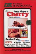 Watch Cherry Harry & Raquel Moviesjoy