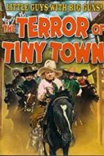 Watch The Terror of Tiny Town Moviesjoy