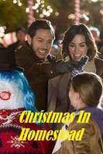 Watch Christmas in Homestead Moviesjoy