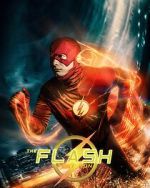 Watch The Flash: Test Run (Short 2024) Moviesjoy