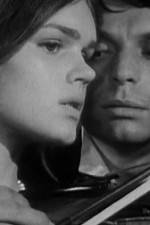 Watch Pavoncello Moviesjoy