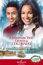 Watch A Christmas Tree Grows in Colorado Moviesjoy