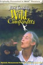 Watch Jane Goodall's Wild Chimpanzees Moviesjoy