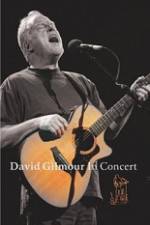 Watch David Gilmour in Concert - Live at Robert Wyatt's Meltdown Moviesjoy