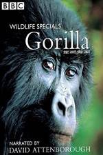 Watch Gorilla Revisited with David Attenborough Moviesjoy