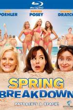 Watch Spring Breakdown Moviesjoy