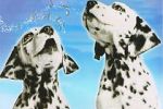 Watch 101 Dalmatians Sing Along Moviesjoy