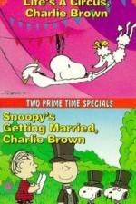 Watch Snoopy's Getting Married Charlie Brown Moviesjoy