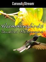 Watch Hummingbirds Jewelled Messengers Moviesjoy