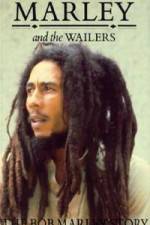 Watch Caribbean Nights Moviesjoy