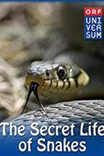 Watch The Secret Life of Snakes Moviesjoy