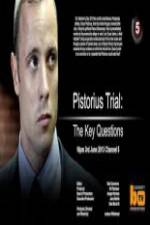Watch Pistorius Trial: The Key Questions Moviesjoy