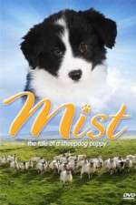 Watch Mist: The Tale of a Sheepdog Puppy Moviesjoy