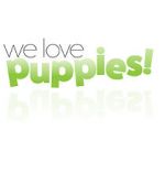 Watch We Love Puppies Moviesjoy
