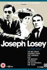 Watch The Big Night Moviesjoy