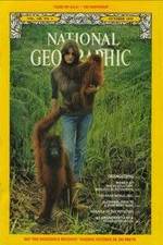 Watch Search for the Great Apes Moviesjoy