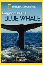 Watch National Geographic Kingdom of Blue Whale Moviesjoy