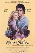 Watch Now and Forever Moviesjoy