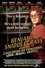 Watch Benjamin Sniddlegrass and the Cauldron of Penguins Moviesjoy