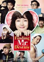 Watch Finding Mr. Destiny Moviesjoy