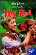 Watch Big Red Moviesjoy