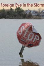 Watch Foreign Eye in the Storm Moviesjoy