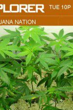 Watch Marijuana Nation Moviesjoy
