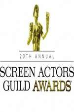 Watch The 20th Annual Screen Actors Guild Awards Moviesjoy