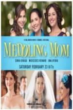 Watch Meddling Mom Moviesjoy
