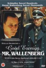 Watch Good Evening, Mr. Wallenberg Moviesjoy