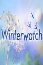Watch Winterwatch Moviesjoy