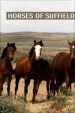 Watch Horses of Suffield Moviesjoy