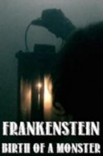 Watch Frankenstein: Birth of a Monster Moviesjoy