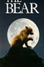 Watch The Bear - (L'ours) Moviesjoy