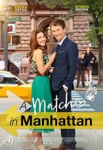 Watch A Match in Manhattan Moviesjoy