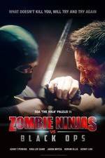 Watch Zombie Ninjas vs Black Ops Moviesjoy
