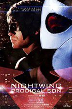 Watch Nightwing Prodigal Son Moviesjoy